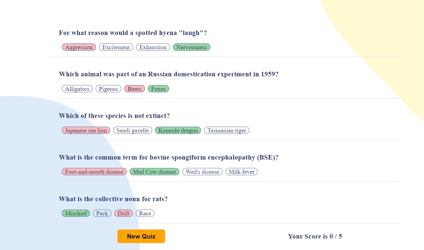 QuizzLett App